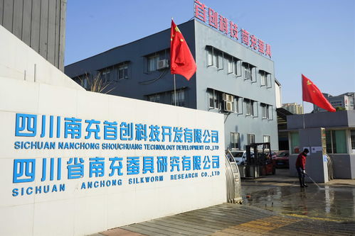 技術創新賦能高坪工業高質量發展